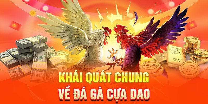 Đôi nét về đá gà cựa dao tại 23win