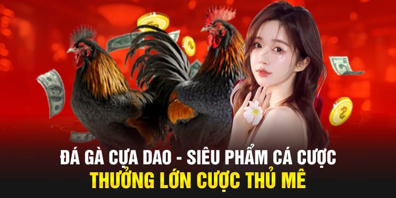 Ưu điểm đá gà cựa dao của 23win 